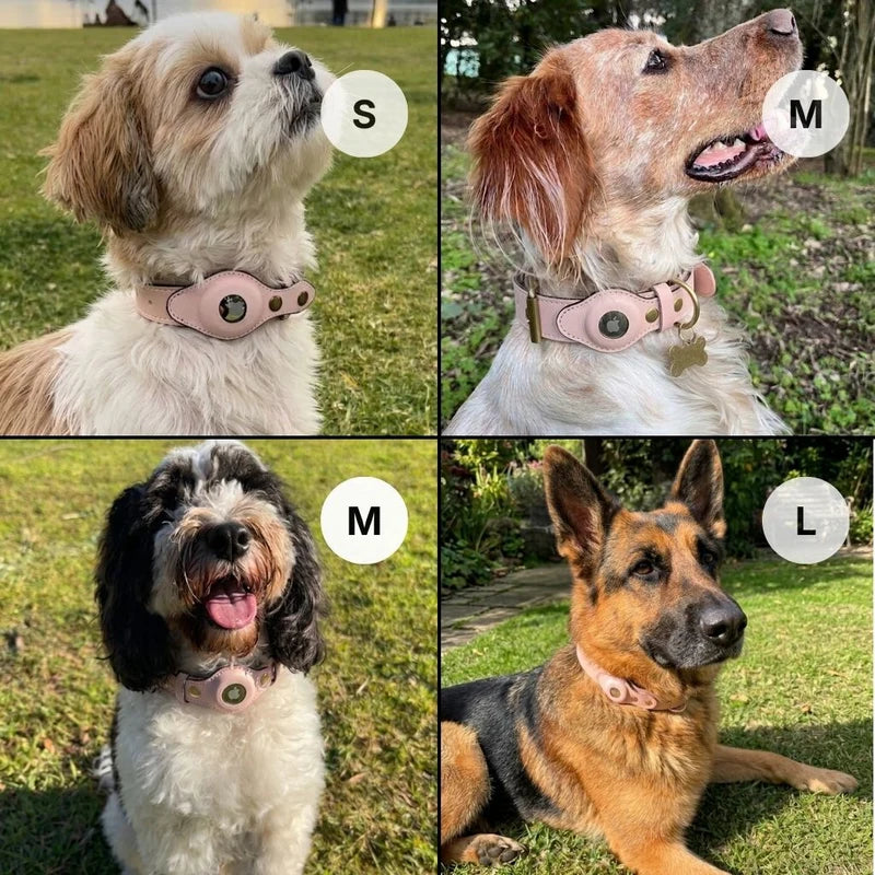 QuickFit Airtag Dog Collar