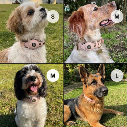 QuickFit Airtag Dog Collar