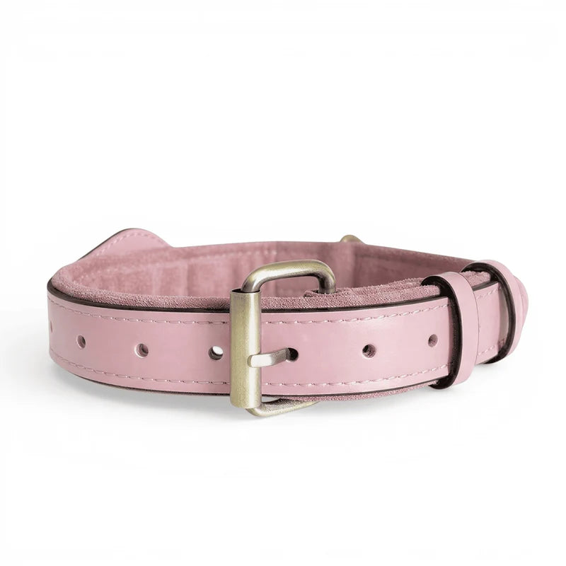 QuickFit Airtag Dog Collar