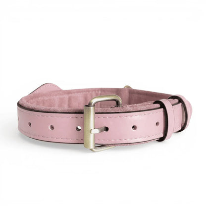 QuickFit Airtag Dog Collar